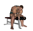 Wrist Curl - Seated Dumbbell Palms Up