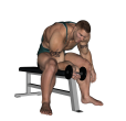 Wrist Curl - Seated Dumbbell Single