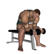 Wrist Curl - Seated Dumbbell