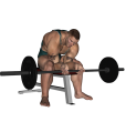 Wrist Curl - Seated Palms Up Barbell