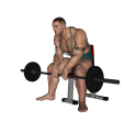 Wrist Curl - Seated Reverse Barbell