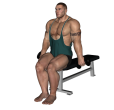 Zottman Curl - Seated Dumbbell Narrow Stance
