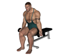 Zottman Curl - Seated Dumbbell Reverse