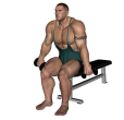 Zottman Curl - Seated Dumbbell