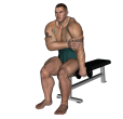 Zottman Curl - Seated Single Dumbbell